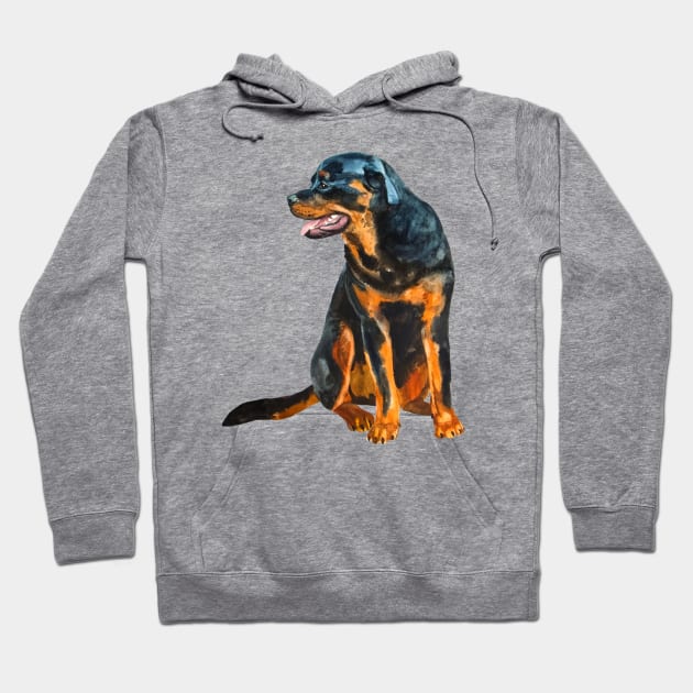 rottweiler portrait Hoodie by VicaVeresk